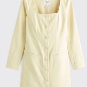 The A&F Mara long-sleeve mini dress